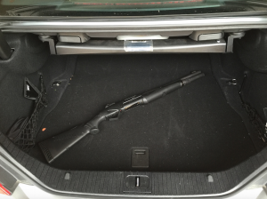 Should You Bother With a Trunk Gun?